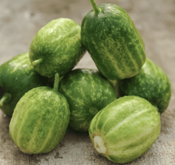 Cucumber - Richmond Green Apple (3.25" pot)